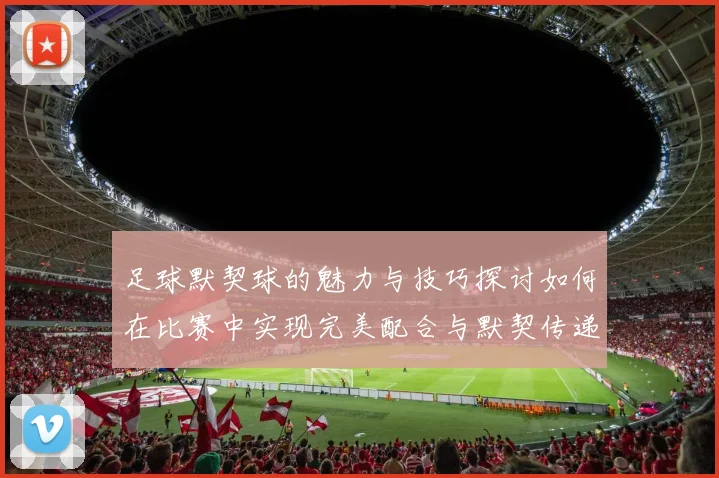 足球默契球的魅力与技巧探讨如何在比赛中实现完美配合与默契传递