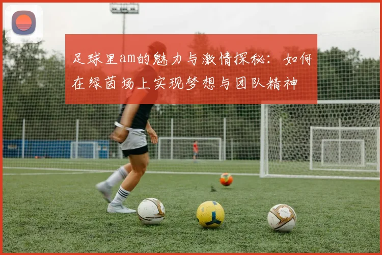 足球里am的魅力与激情探秘：如何在绿茵场上实现梦想与团队精神
